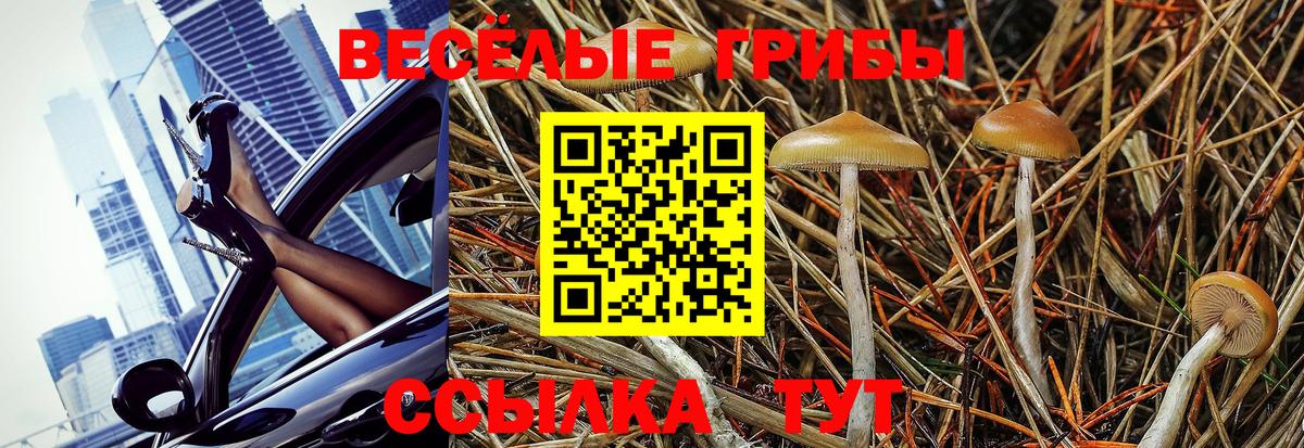 Галлюциногенные грибы Psilocybine cubensis  Вход с VPN  Галлюциногенные грибы MAGIC MUSHROOMS  Буйнакск 